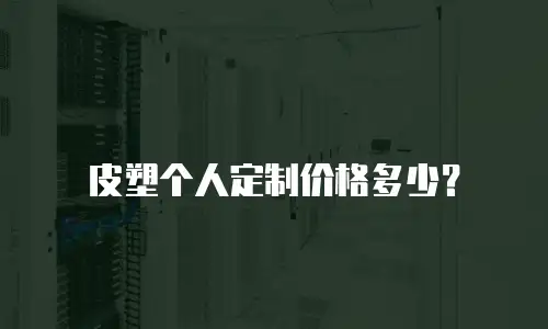 皮塑个人定制价格多少？