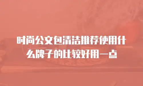 时尚公文包清洁推荐使用什么牌子的比较好用一点