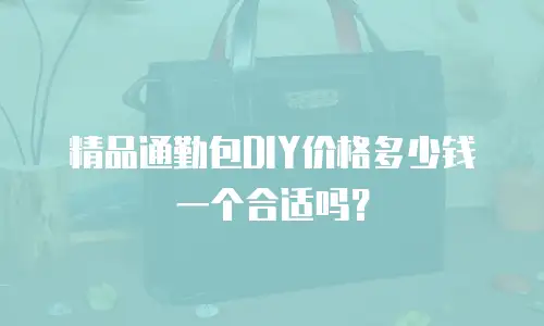 精品通勤包DIY价格多少钱一个合适吗？