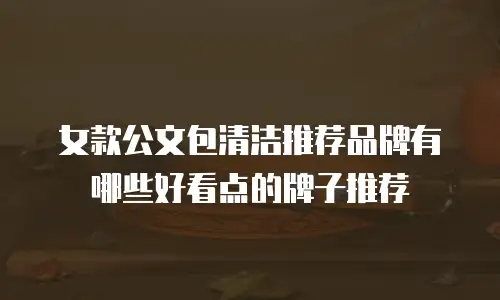 女款公文包清洁推荐品牌有哪些好看点的牌子推荐