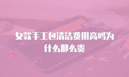 女款手工包清洁费用高吗为什么那么贵