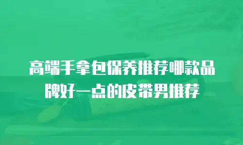 高端手拿包保养推荐哪款品牌好一点的皮带男推荐
