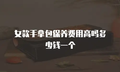 女款手拿包保养费用高吗多少钱一个