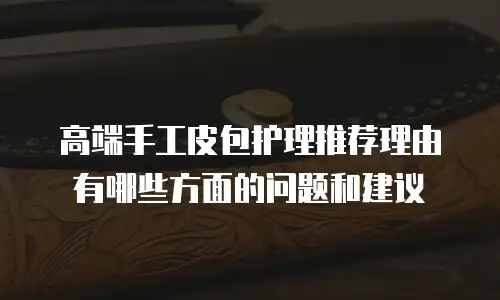 高端手工皮包护理推荐理由有哪些方面的问题和建议