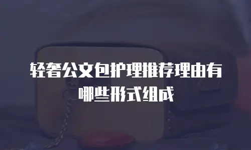 轻奢公文包护理推荐理由有哪些形式组成