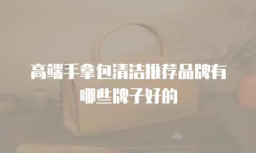 高端手拿包清洁推荐品牌有哪些牌子好的