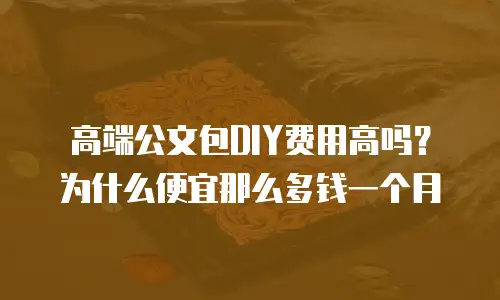 高端公文包DIY费用高吗？为什么便宜那么多钱一个月