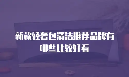 新款轻奢包清洁推荐品牌有哪些比较好看