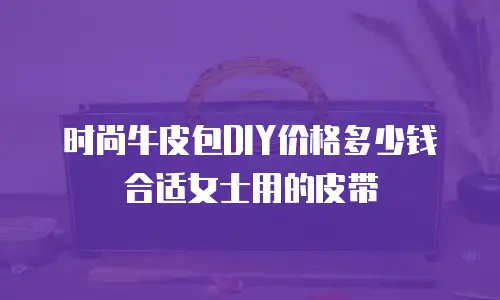 时尚牛皮包DIY价格多少钱合适女士用的皮带