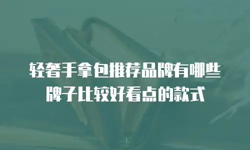 轻奢手拿包推荐品牌有哪些牌子比较好看点的款式
