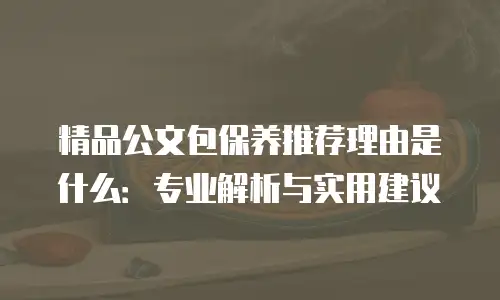 精品公文包保养推荐理由是什么：专业解析与实用建议