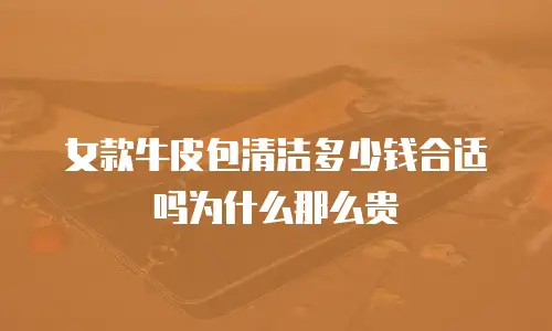 女款牛皮包清洁多少钱合适吗为什么那么贵