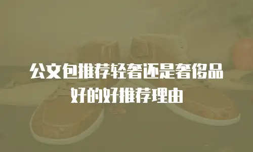 公文包推荐轻奢还是奢侈品好的好推荐理由