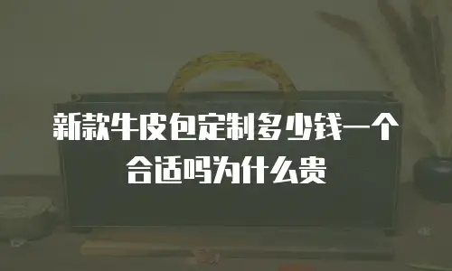 新款牛皮包定制多少钱一个合适吗为什么贵