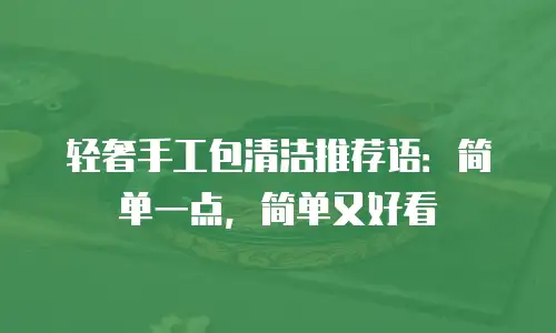 轻奢手工包清洁推荐语：简单一点，简单又好看