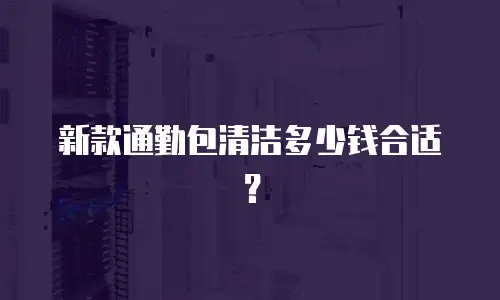 新款通勤包清洁多少钱合适？