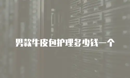 男款牛皮包护理多少钱一个