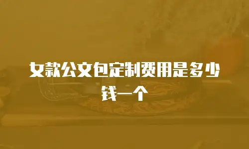女款公文包定制费用是多少钱一个