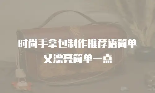 时尚手拿包制作推荐语简单又漂亮简单一点