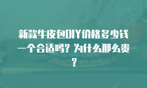 新款牛皮包DIY价格多少钱一个合适吗？为什么那么贵？