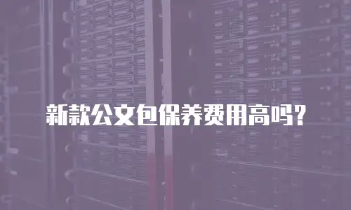 新款公文包保养费用高吗？