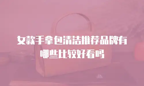 女款手拿包清洁推荐品牌有哪些比较好看吗