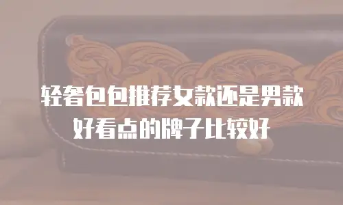 轻奢包包推荐女款还是男款好看点的牌子比较好