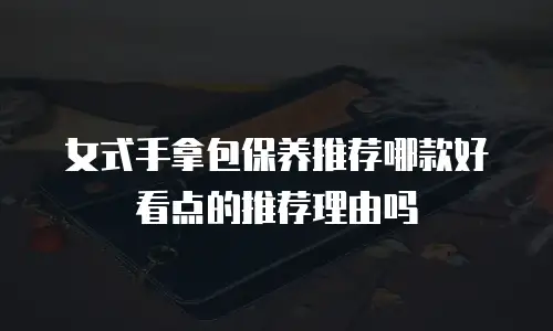 女式手拿包保养推荐哪款好看点的推荐理由吗