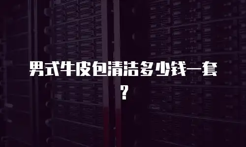 男式牛皮包清洁多少钱一套？
