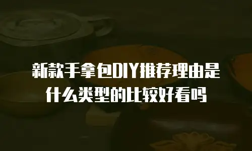 新款手拿包DIY推荐理由是什么类型的比较好看吗