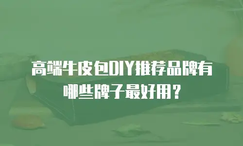 高端牛皮包DIY推荐品牌有哪些牌子最好用？