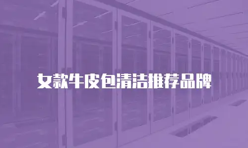 女款牛皮包清洁推荐品牌