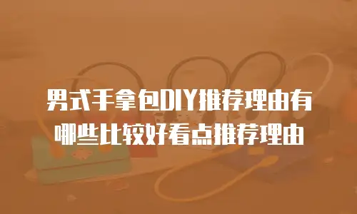 男式手拿包DIY推荐理由有哪些比较好看点推荐理由