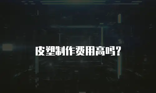 皮塑制作费用高吗？