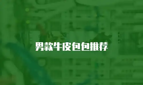 男款牛皮包包推荐