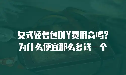 女式轻奢包DIY费用高吗？为什么便宜那么多钱一个
