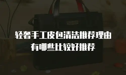 轻奢手工皮包清洁推荐理由有哪些比较好推荐