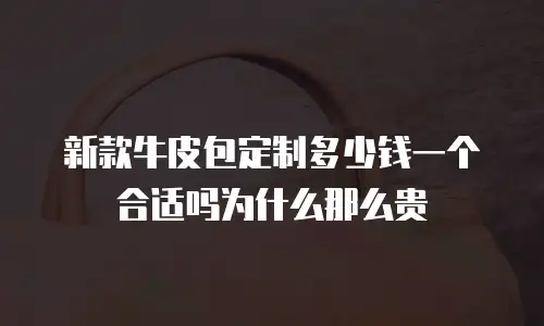 新款牛皮包定制多少钱一个合适吗为什么那么贵