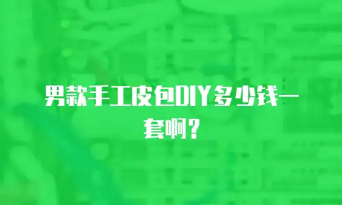男款手工皮包DIY多少钱一套啊？