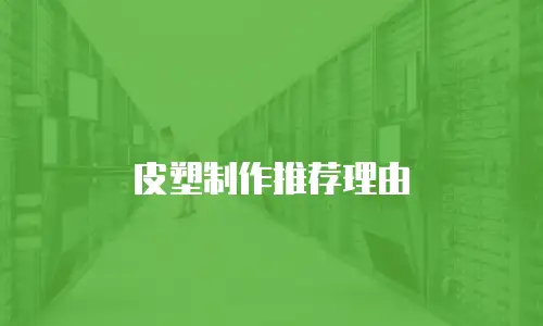 皮塑制作推荐理由