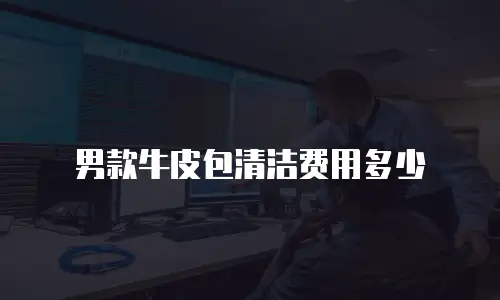 男款牛皮包清洁费用多少