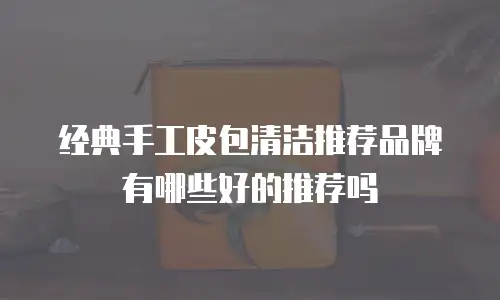 经典手工皮包清洁推荐品牌有哪些好的推荐吗