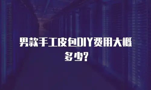 男款手工皮包DIY费用大概多少?