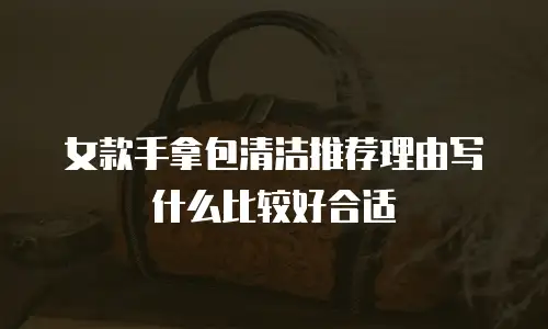 女款手拿包清洁推荐理由写什么比较好合适