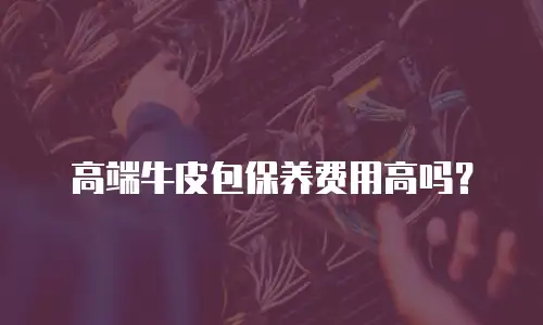 高端牛皮包保养费用高吗？