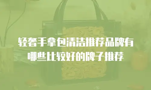 轻奢手拿包清洁推荐品牌有哪些比较好的牌子推荐