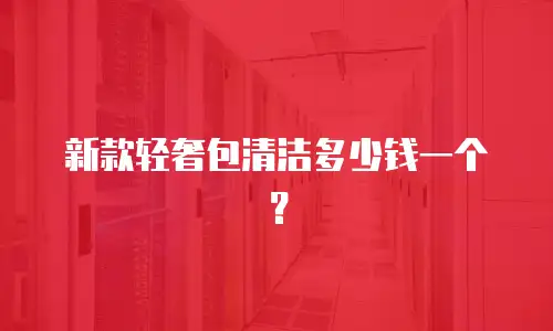 新款轻奢包清洁多少钱一个？