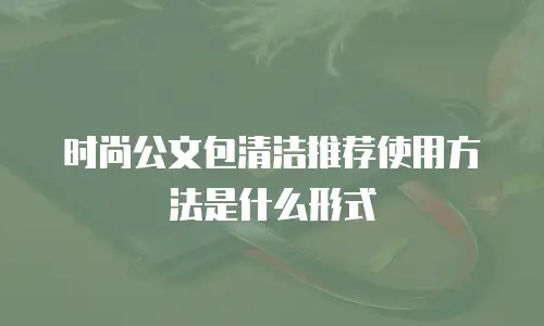 时尚公文包清洁推荐使用方法是什么形式