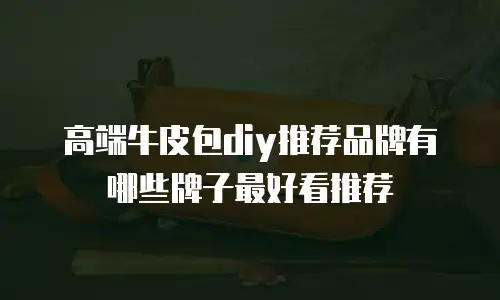 高端牛皮包diy推荐品牌有哪些牌子最好看推荐