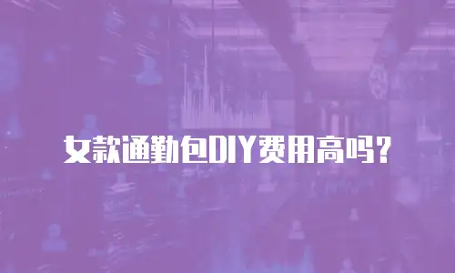 女款通勤包DIY费用高吗？